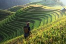 agricultura_china
