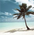 Viajes Pura Vida tiene los paquetes turísticos a los mejores precio y financiaciones del mercado. Para viajar a Isla Margarita - Venezuela llamar al Tel. (011) 5235-6677
