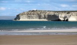 doradillo
