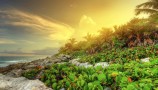 Playa del Carmen