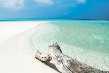 Cayo Guillermo, La Habana. Paquetes desde Argentina. Financiaciones. Consultas a info@puravidaviajes.com WhatsApp: 1130803344