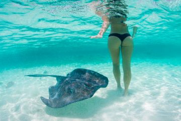 Bayahibe 13 de. Paquetes desde Argentina. Financiaciones. Consultas a info@puravidaviajes.com WhatsApp: 1130803344