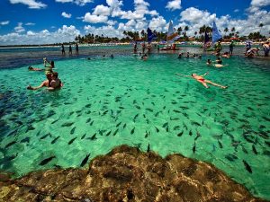 Porto de Galinhas. Paquetes all inclusive desde Argentina. Financiaciones. Consultas a info@puravidaviajes.com.ar WP +54 9 11 3080-3344