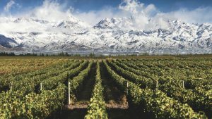 Mendoza Septiembre. Paquetes all inclusive desde Argentina. Financiaciones. Consultas a info@puravidaviajes.com.ar Tel. (11) 5235-6677.