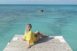Cancún 18 de. Paquetes all inclusive desde Argentina. Financiaciones. Consultas a info@puravidaviajes.com.ar WP +54 9 11 3080-3344