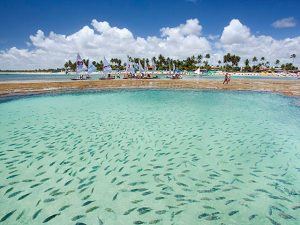 Porto de Galinhas. Paquetes all inclusive desde Argentina. Financiaciones. Consultas a info@puravidaviajes.com.ar WP +54 9 11 3080-3344