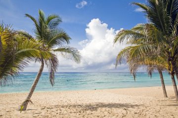 Riviera Maya Enero. Paquetes desde Argentina. Financiaciones. Consultas a info@puravidaviajes.com WhatsApp: 1130803344