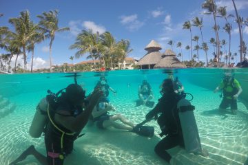 Punta Cana Diciembre. Paquetes desde Argentina. Financiaciones. Consultas a info@puravidaviajes.com WhatsApp: 1130803344