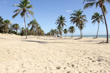 Fortaleza 1 de. Paquetes all inclusive desde Argentina. Financiaciones. Consultas a info@puravidaviajes.com.ar WP +54 9 11 3080-3344